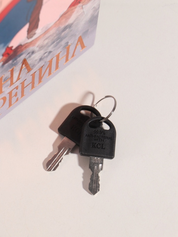 Сейф-книга дерево кожзам "Лев Толостой. Анна Каренина" тиснение 21х13х5 см