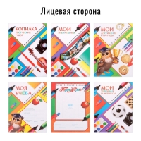 Папка школьная на кольцах &laquo;Портфолио школьника&raquo;, 6 листов-разделителей, 24,5 х 32 см.