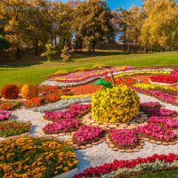 Щепа декоративная, красная 60л. Щепа декоративная, красная 60л.