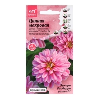 Семена Цветов Цинния "Расберри Риппл", 5 шт Семена Цветов Цинния "Расберри Риппл", 5 шт