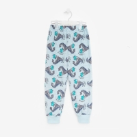 Пижама для мальчика, цвет голубой, рост 92 см Пижама для мальчика, цвет голубой, рост 92 см