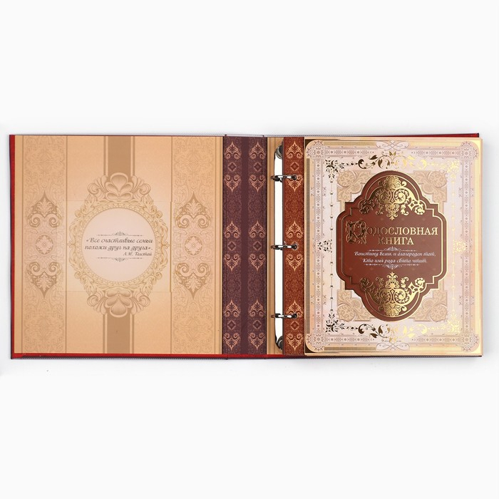 Родословная книга с рамкой под фото &laquo;Семейная книга&raquo;, 50 листов, 21,5 х 23,7 см.