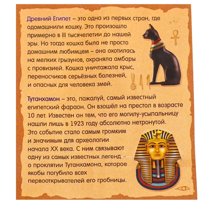 Набор для раскопок &laquo;Сокровища древнего Египта&raquo;