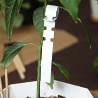 Бирки садовые для маркировки, 27 &times; 2 см, набор 20 шт., пластик, МИКС, Greengo