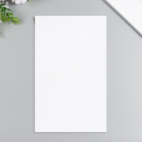 Лист для творчества иск.кожа "Рисунок Личи" белый лист 33х20 см толщина 1 мм Лист для творчества иск.кожа "Рисунок Личи" белый лист 33х20 см толщина 1 мм