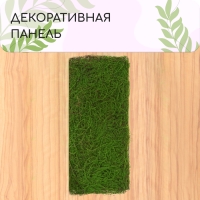 Декоративная панель, 90 × 40 см, «Папоротник», Greengo Декоративная панель, 90 × 40 см, «Папоротник», Greengo