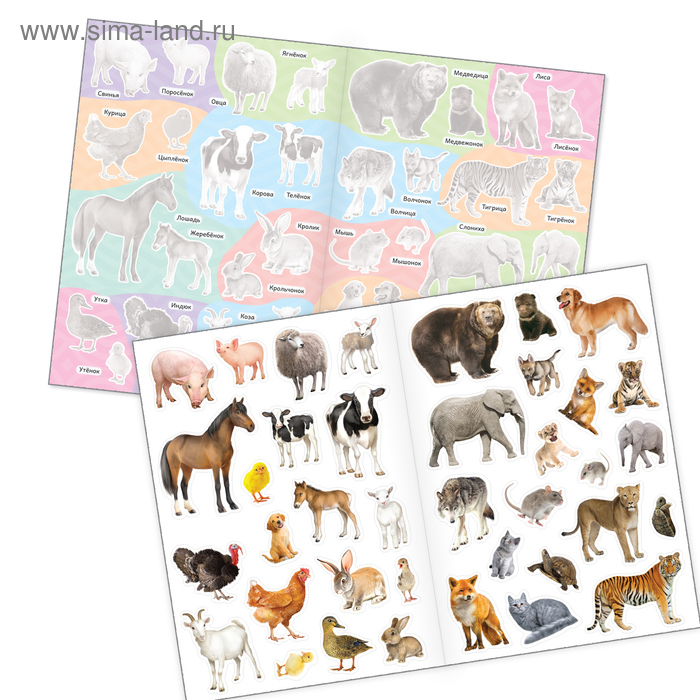 Наклейки многоразовые набор &laquo;Познавательные&raquo; №2, 3 шт., формат А4