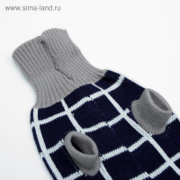 Свитер, размер 16 (ДС 45-60, ОШ 20-37, ОГ 37-52 см), микс расцветок Свитер, размер 16 (ДС 45-60, ОШ 20-37, ОГ 37-52 см), микс расцветок