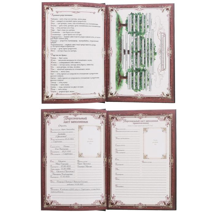 Родословная книга &laquo;Семейная летопись&raquo;, 56 листов, 16.5 х 24 см