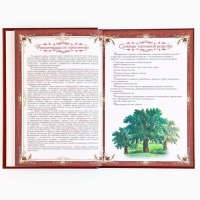 Родословная книга новогодним пояском &laquo;Новый год: Дед мороз&raquo;, 16,5 х 24 см.