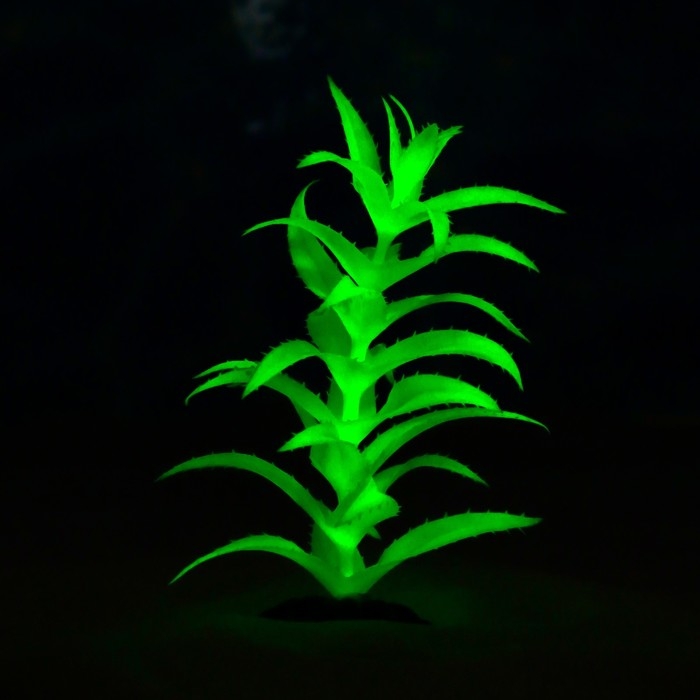 Растение искусственное аквариумное, светящееся, 20 см, зелёное Растение искусственное аквариумное, светящееся, 20 см, зелёное