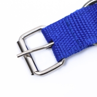 Ошейник двухслойный с вертлюгом, 55 х 2,5 см, полиэстер, синий