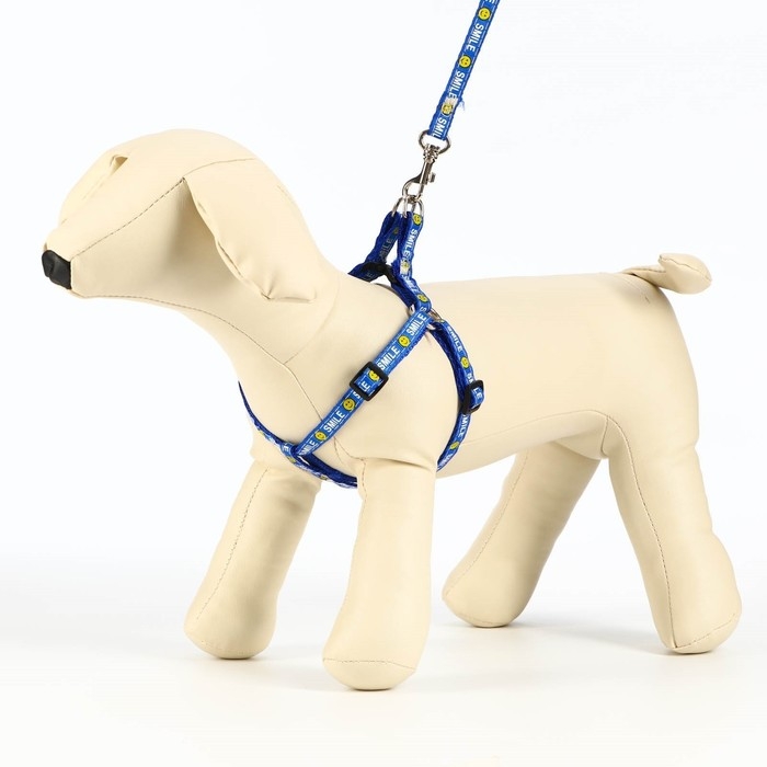 Комплект амуници "Смайлик", ширина 1 см, поводок 120 см, шлейка 26-38 см, синий