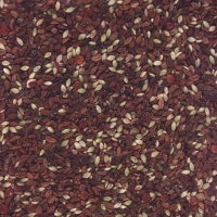 Семена Фацелии 0.5 кг