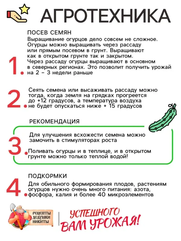 Семена Огурец "Засолочный", 0,5 г