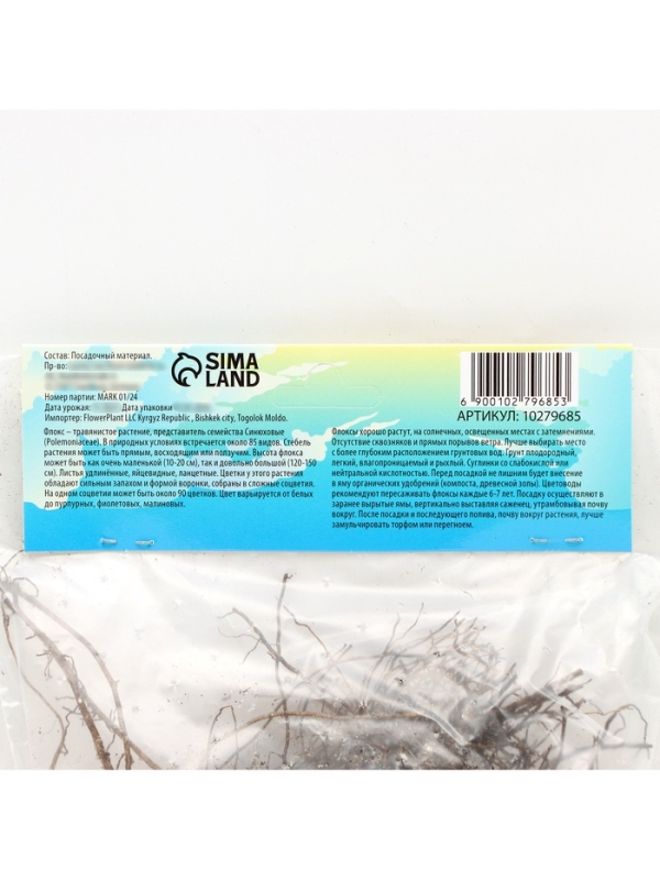 Флокс &laquo;Крем де ля Крем&raquo; корневище в пакете с торфогрунтом, р-р I, 2 шт.