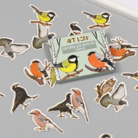 Наклейки для творчества "Городские и лесные птицы" тиснение золото набор 48 шт 9х7х0,8 см Наклейки для творчества "Городские и лесные птицы" тиснение золото набор 48 шт 9х7х0,8 см