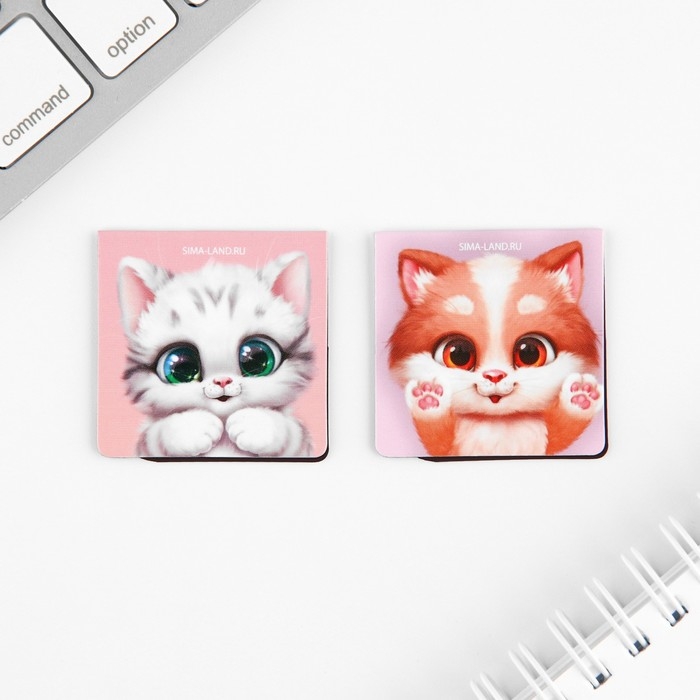 Набор блокнот А6, 32 листа, наклейки, магнитные закладки &laquo;С 8 марта&raquo;