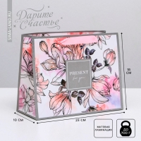 Пакет подарочный ламинированный горизонтальный, упаковка, &laquo;Present for you&raquo;, MS 23 х 18 х 10 см