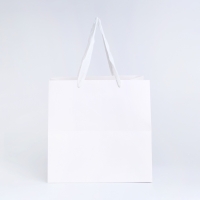 Пакет с квадратным дном 25 Х 25 Х 25 см, Белый Пакет с квадратным дном 25 Х 25 Х 25 см, Белый