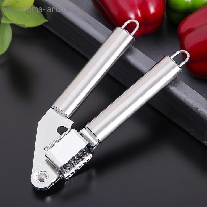 Пресс для чеснока Доляна &laquo;Металлик&raquo;, 19,5 см, цвет серебряный