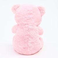 Мягкая игрушка «Мишутка», 25 см, цвета МИКС Мягкая игрушка «Мишутка», 25 см, цвета МИКС