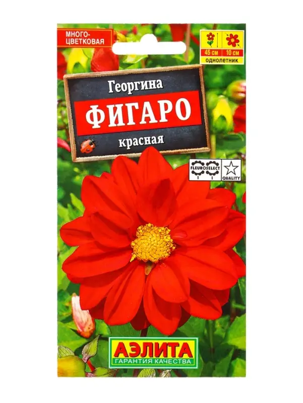 Семена цветов Георгина Фигаро махровая красная , Ц/П,7 шт.