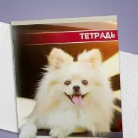 Тетрадь 48 листов в клетку Calligrata &laquo;Собачьи мордочки&raquo;, обложка мелованный картон, блок №2, белизна 75% (серые листы), МИКС