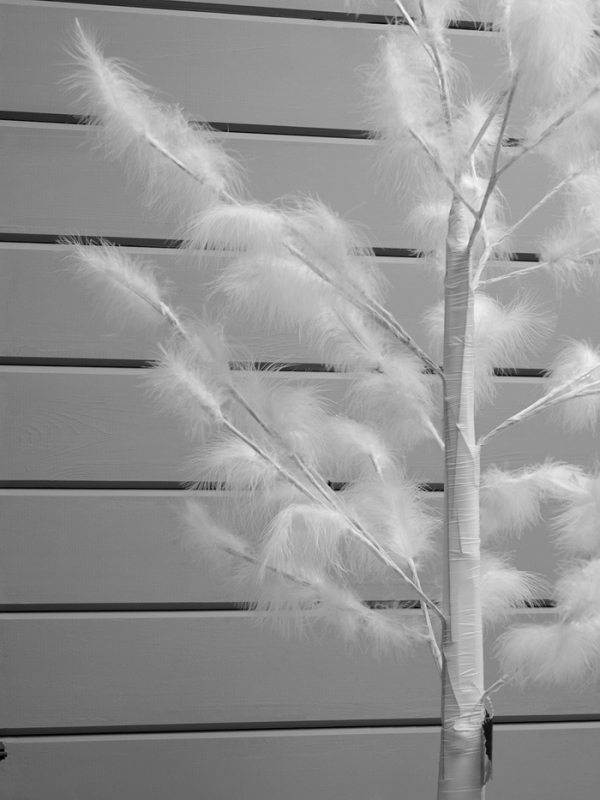 Светодиодное дерево &laquo;Перья&raquo; 1.5 м, 300 LED, постоянное свечение, 220 В, свечение тёплое белое