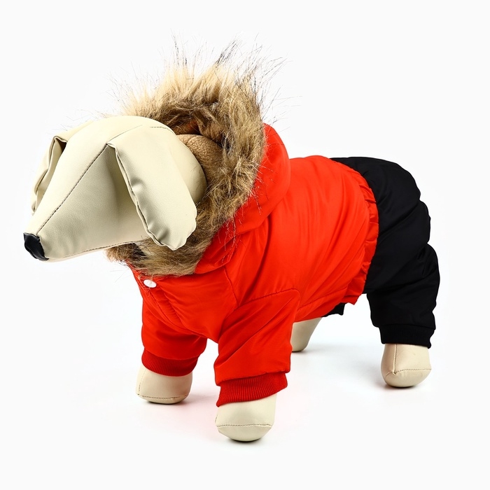 Одежда для собак. Комбинезон зимний «Тёплая зима», красно-чёрный, размер XL Одежда для собак. Комбинезон зимний «Тёплая зима», красно-чёрный, размер XL