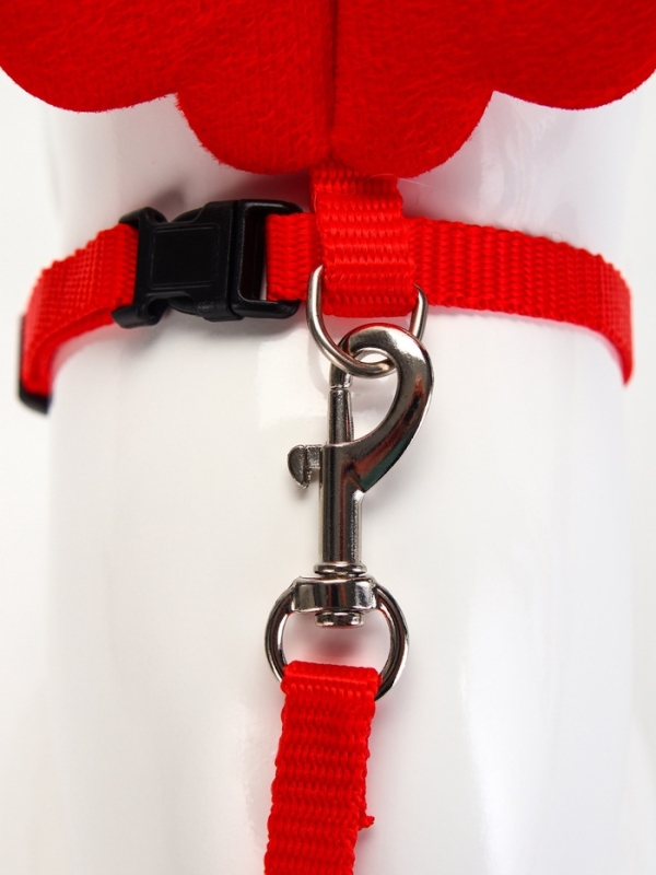 Комплект амуниции "Ангел", размер XS, шлейка 19-26 см, поводок 120 х 1 см, красный