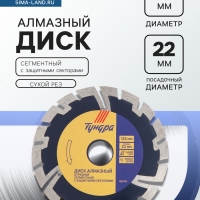 Диск алмазный отрезной ТУНДРА, сегментный с защитными секторами, сухой рез, 125&times;22 мм