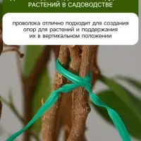 Проволока подвязочная, 10 см, в наборе 100 шт., зелёная, Greengo