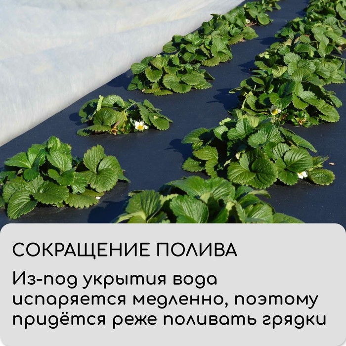 Материал мульчирующий, 5 &times; 3,2 м, плотность 60 г/м&sup2;, спанбонд с УФ-стабилизатором, чёрный, Greengo, Эконом 30%