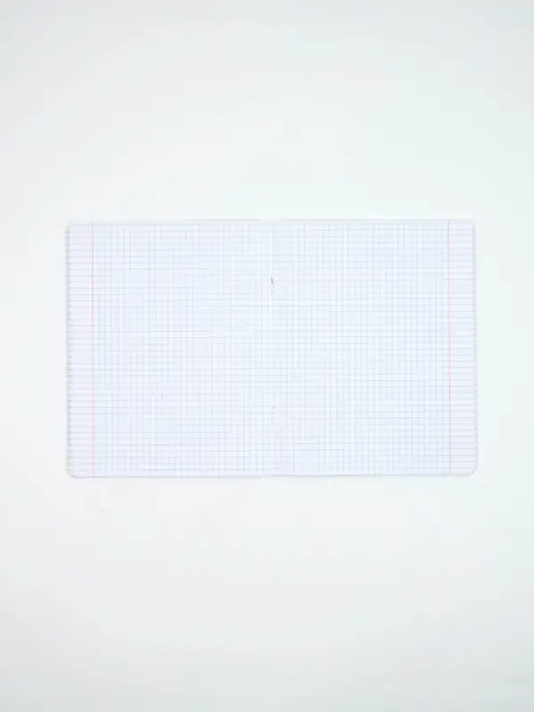 Тетради в клетку, 48 л., набор из 5 шт., блок №1 &laquo;Патриотизм&raquo; матовая ламинация, тиснение