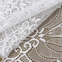 Кружевная эластичная ткань, 185 мм &times; 2,7 &plusmn; 0,5 м, цвет белый