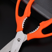 Ножницы кухонные Доляна &laquo;Саймон&raquo;, 23 см, цвет зелёный