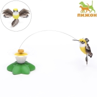 Интерактивная игрушка-дразнилка для кошек "Колибри" Интерактивная игрушка-дразнилка для кошек "Колибри"