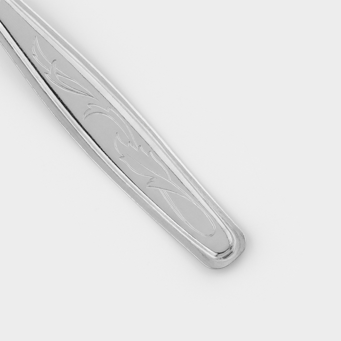 Ложка столовая «Силуэт», длина 20 см, толщина 1 мм, упрощённой обработки, цвет серебряный Ложка столовая «Силуэт», длина 20 см, толщина 1 мм, упрощённой обработки, цвет серебряный