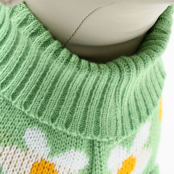 Свитер Свитер "Ромашки", размер M (ДС 30, ОШ 27, ОГ 40 см), зелёный