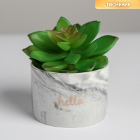 Горшок для цветов керамический, кашпо &laquo;Счастье&raquo; 5,5 х 8 см