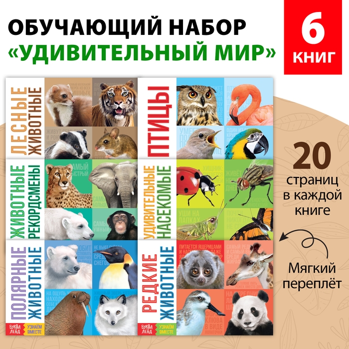 Обучающие книги набор &laquo;Удивительный мир&raquo; 6 шт. по 20 стр.