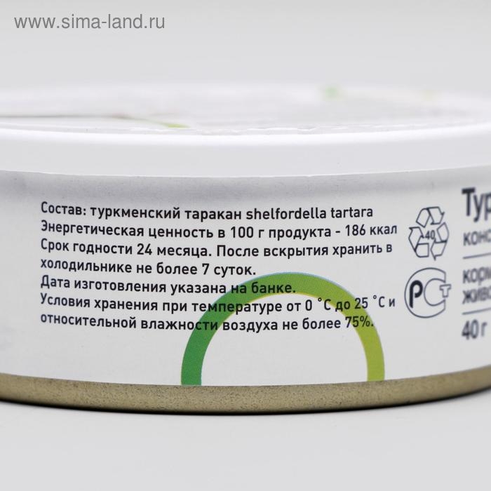 Консервированный корм ONTO для животных, туркменский таракан, 40 г Консервированный корм ONTO для животных, туркменский таракан, 40 г