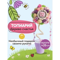 Набор для творчества топиарий &laquo;Шарм&raquo;, 26 см, 10+