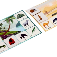 Лото детское» Кто где живёт?», МИКС Лото детское» Кто где живёт?», МИКС