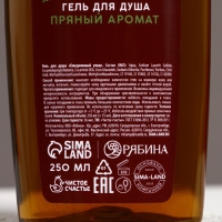 Подарочный набор косметики &laquo;С Новым Годом!&raquo;, гель для душа и шампунь для волос, 2 х 250 мл, ЧИСТОЕ СЧАСТЬЕ