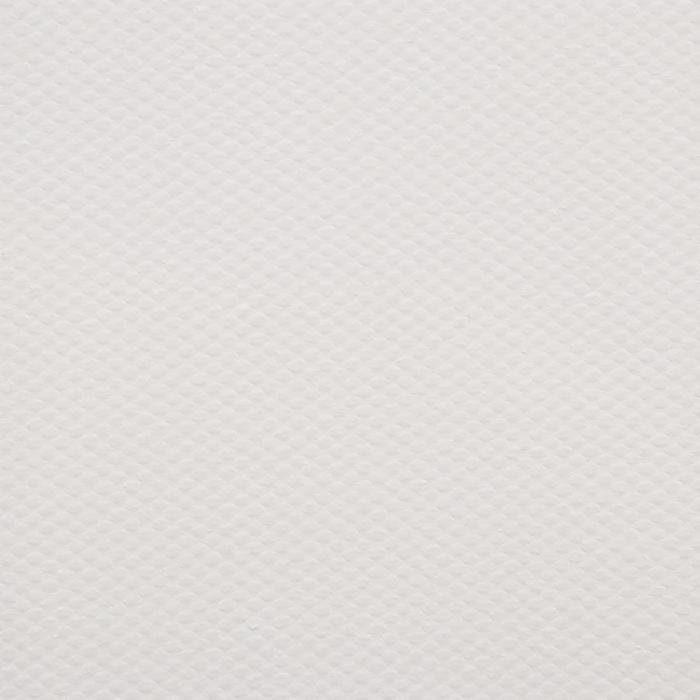 Холст на подрамнике, хлопок 100%, акриловый грунт, 2 х 40 х 50 см, 400 г/м2, крупное зерно, Гамма "Студия"