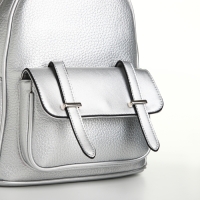 Рюкзак городской на молнии, цвет серебряный Рюкзак городской на молнии, цвет серебряный