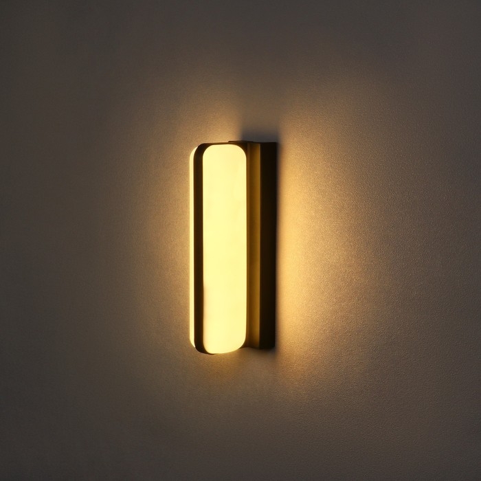 Светильник фасадный &laquo;Эллипс&raquo;, FSD-029, 24 Вт, 3000K, IP65, 220 В, пластик, черный