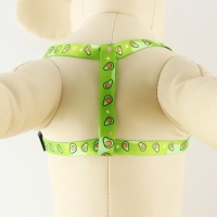 Комплект &laquo;Авокадо&raquo;, шлейка 24-36 см, поводок 120х1 см